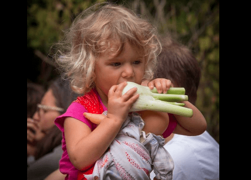 Comment Eduquer Le Gout D Un Bebe Innovation En Education