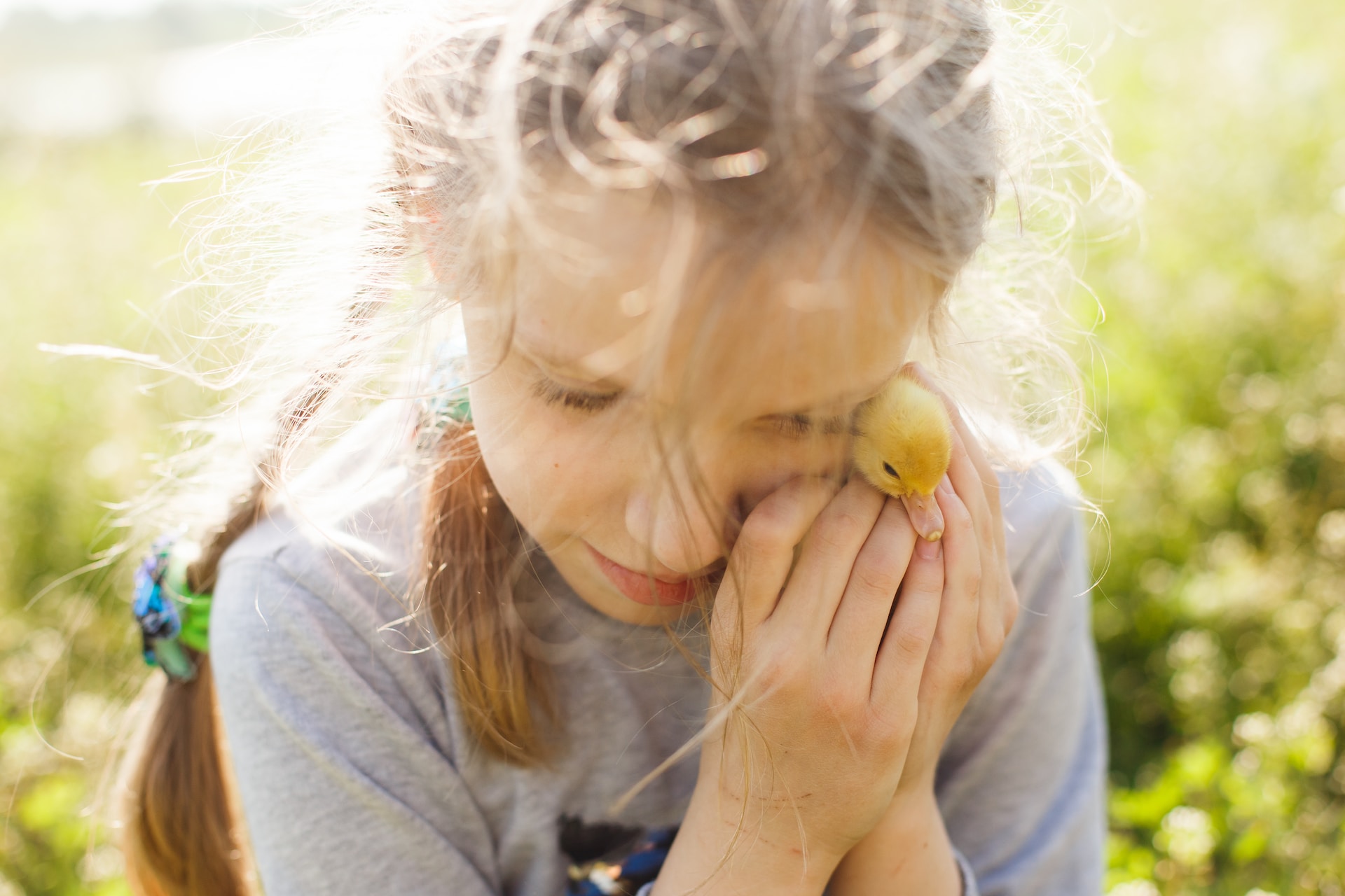 petite-fille-calin-canard-hypersensible