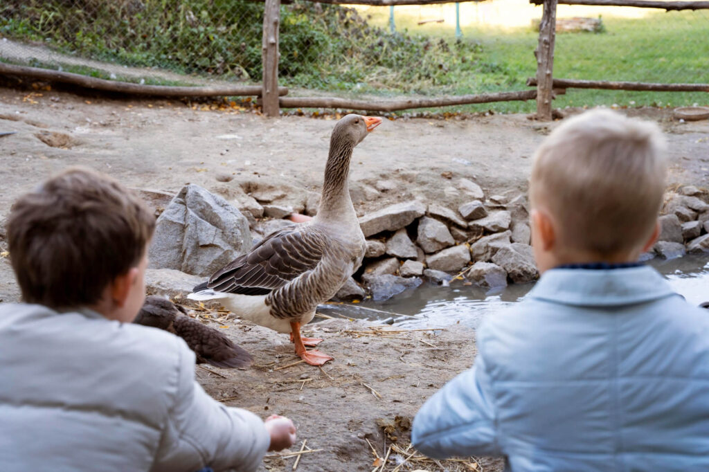 idée sortie scolaire maternelle